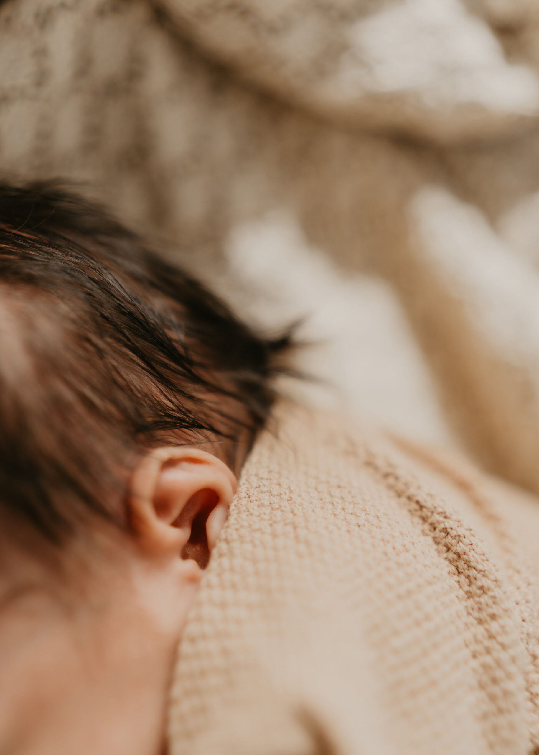 You are currently viewing Maya