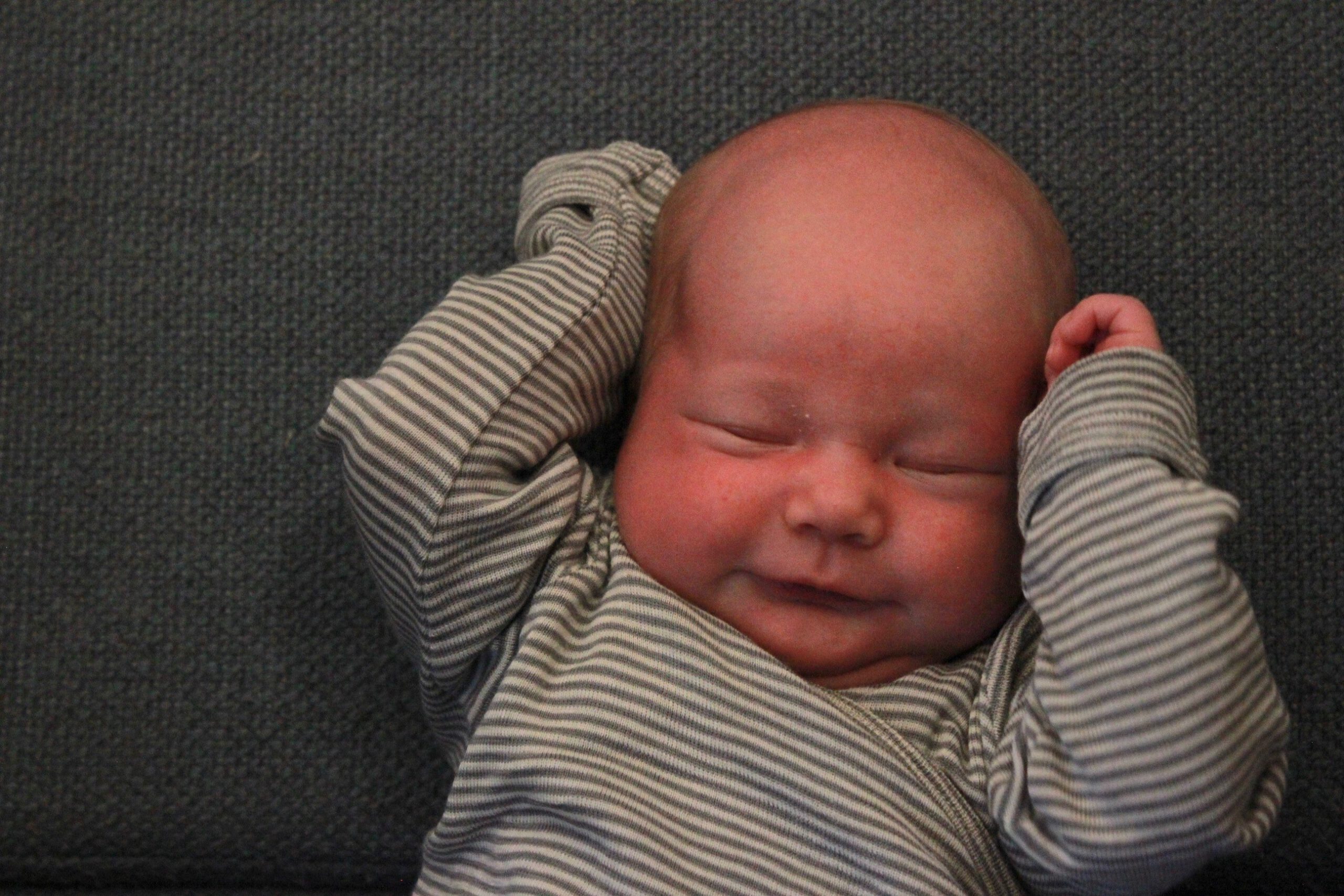 You are currently viewing Wilma