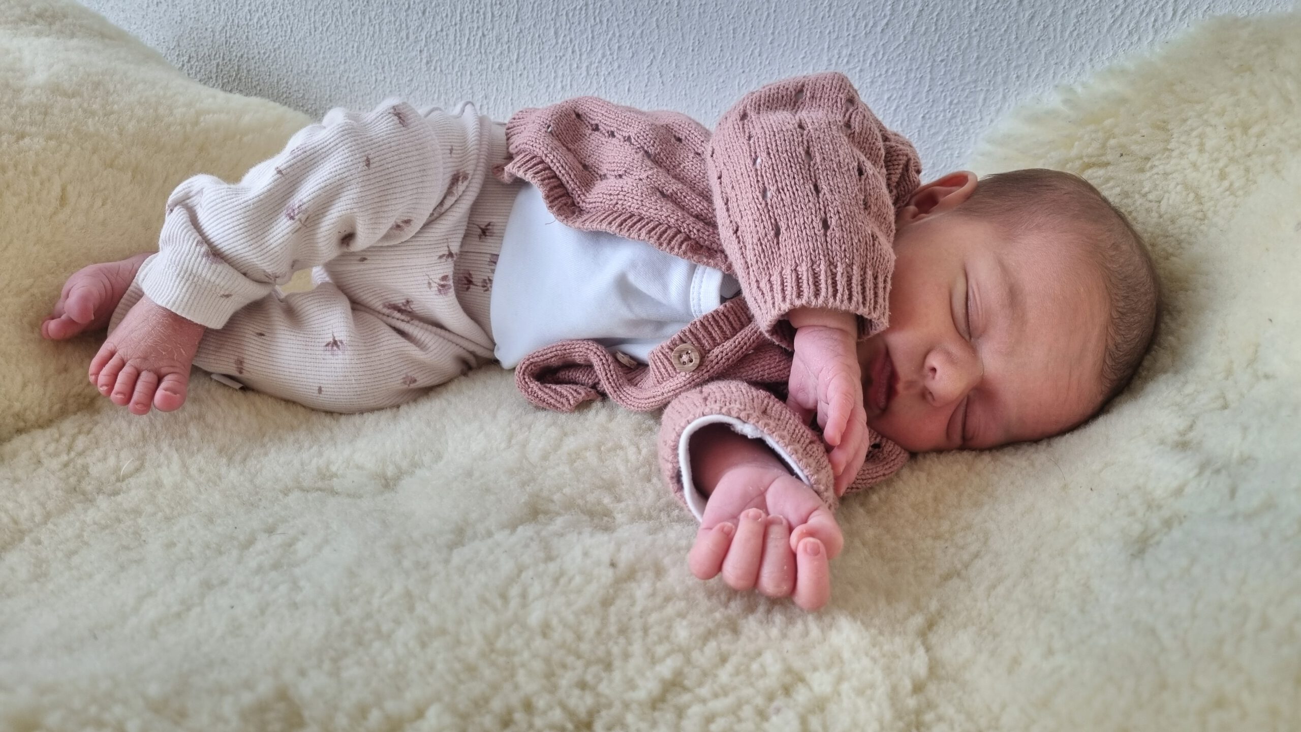 You are currently viewing Charlotte