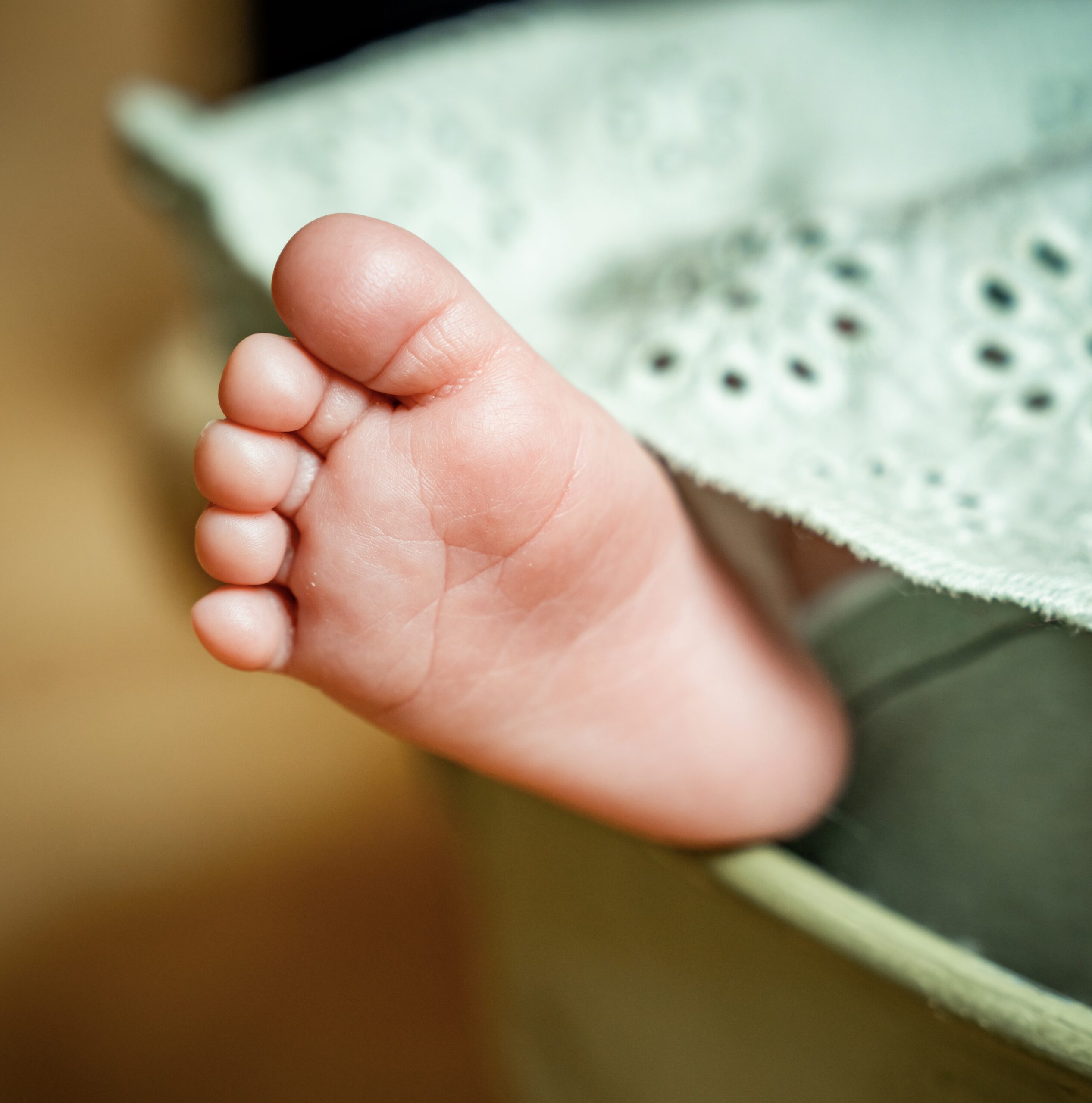 You are currently viewing Eleanor