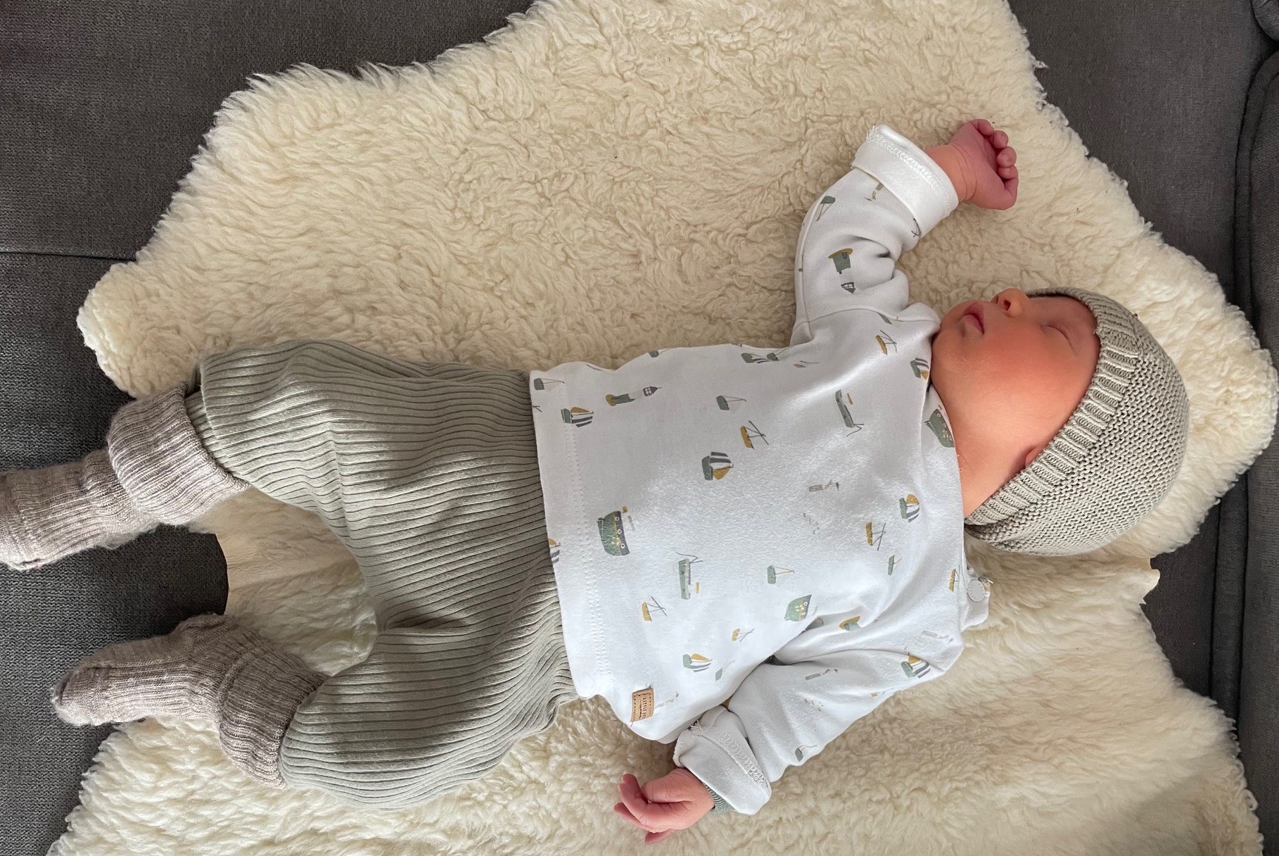 You are currently viewing Frido