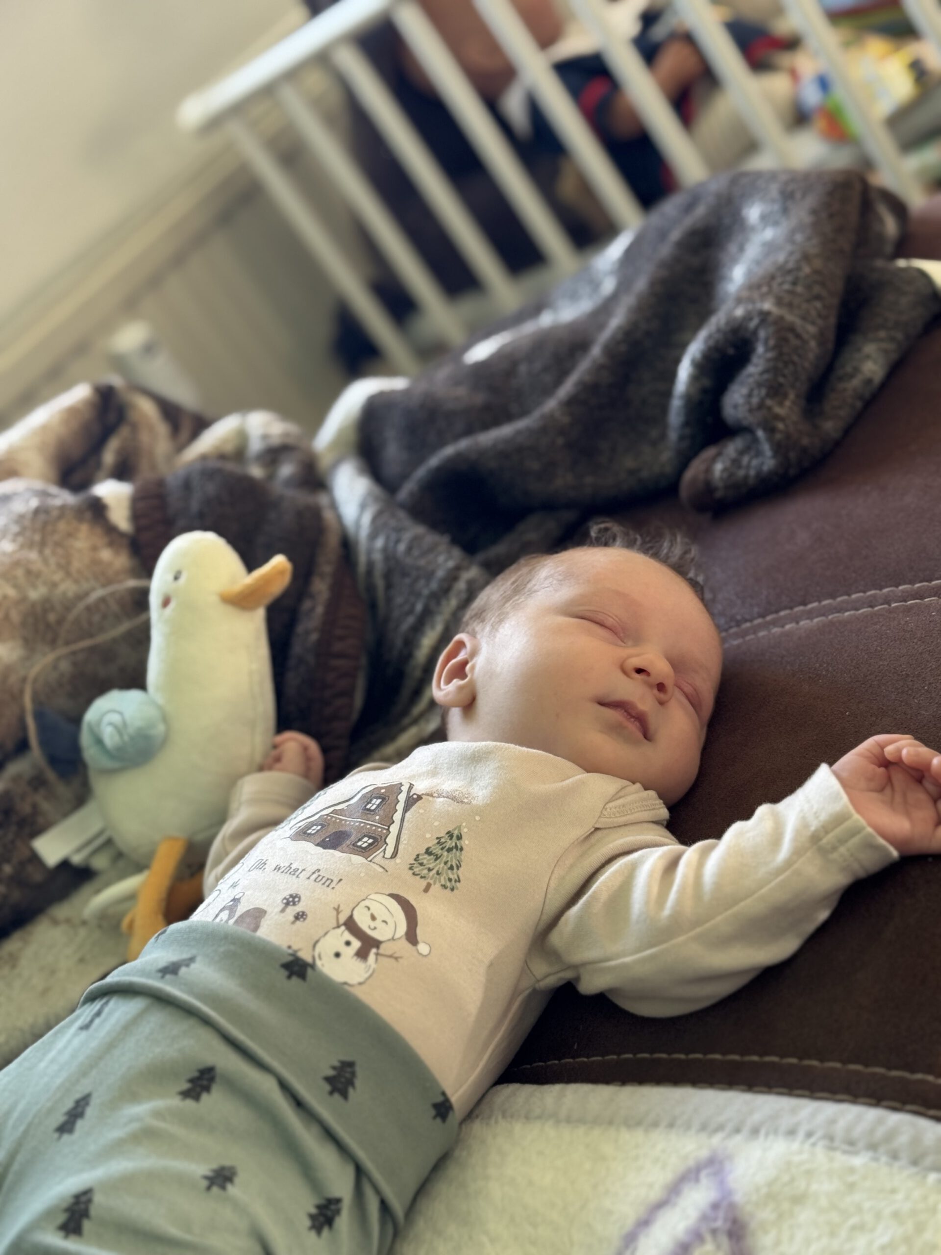 You are currently viewing Maja