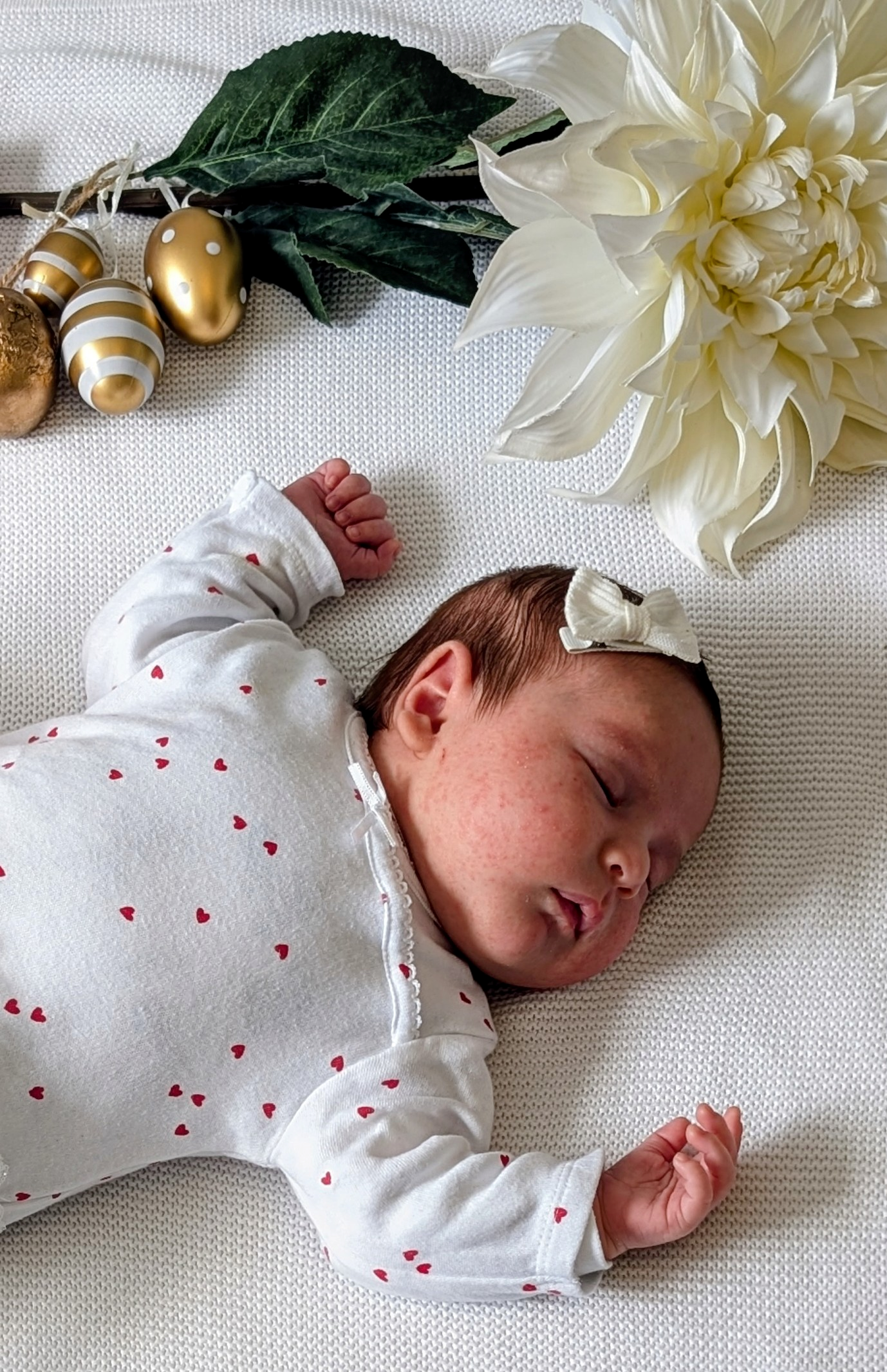 You are currently viewing Isabell